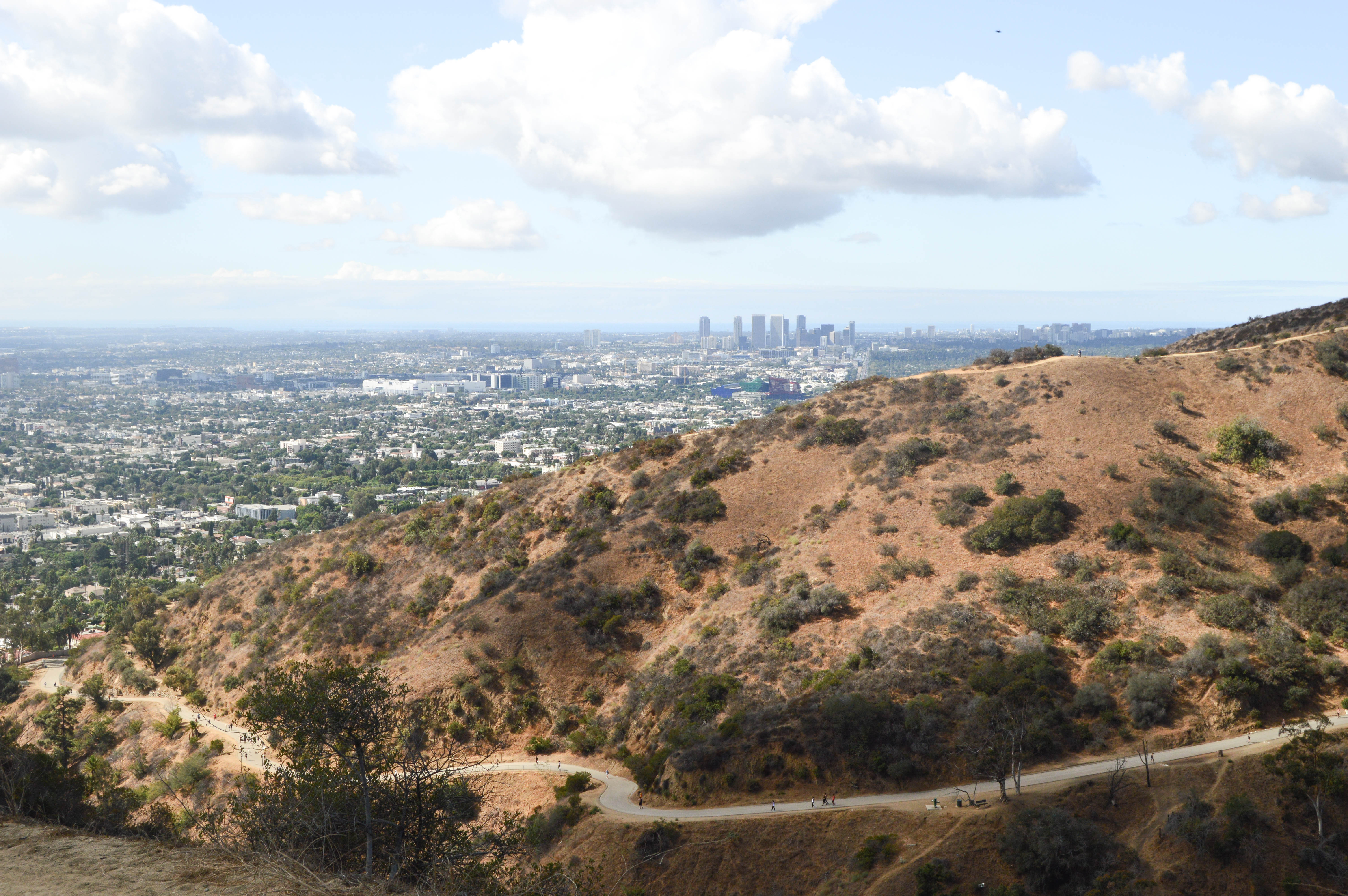 4 Things To Do In LA