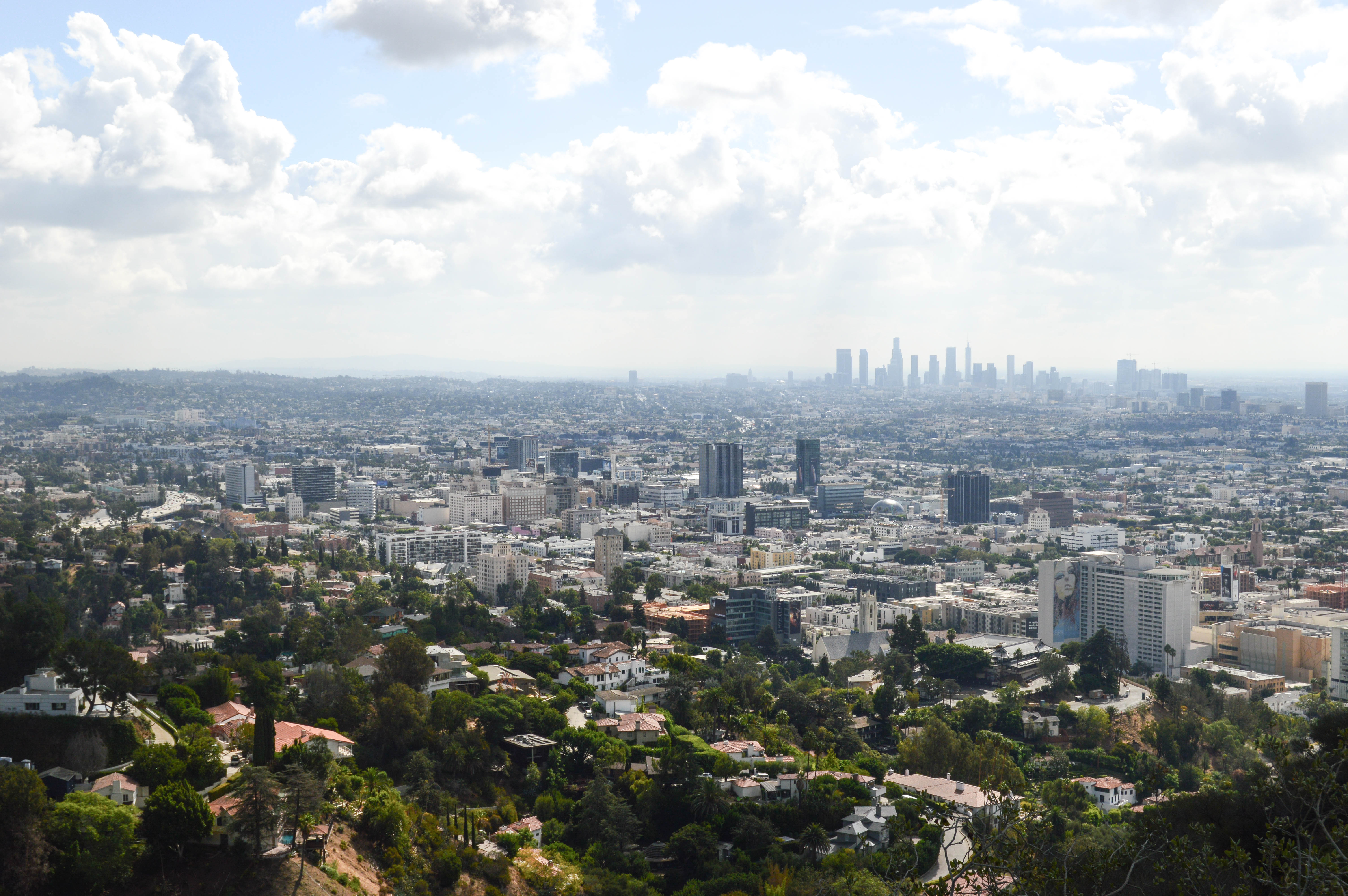 4 Things To Do In LA
